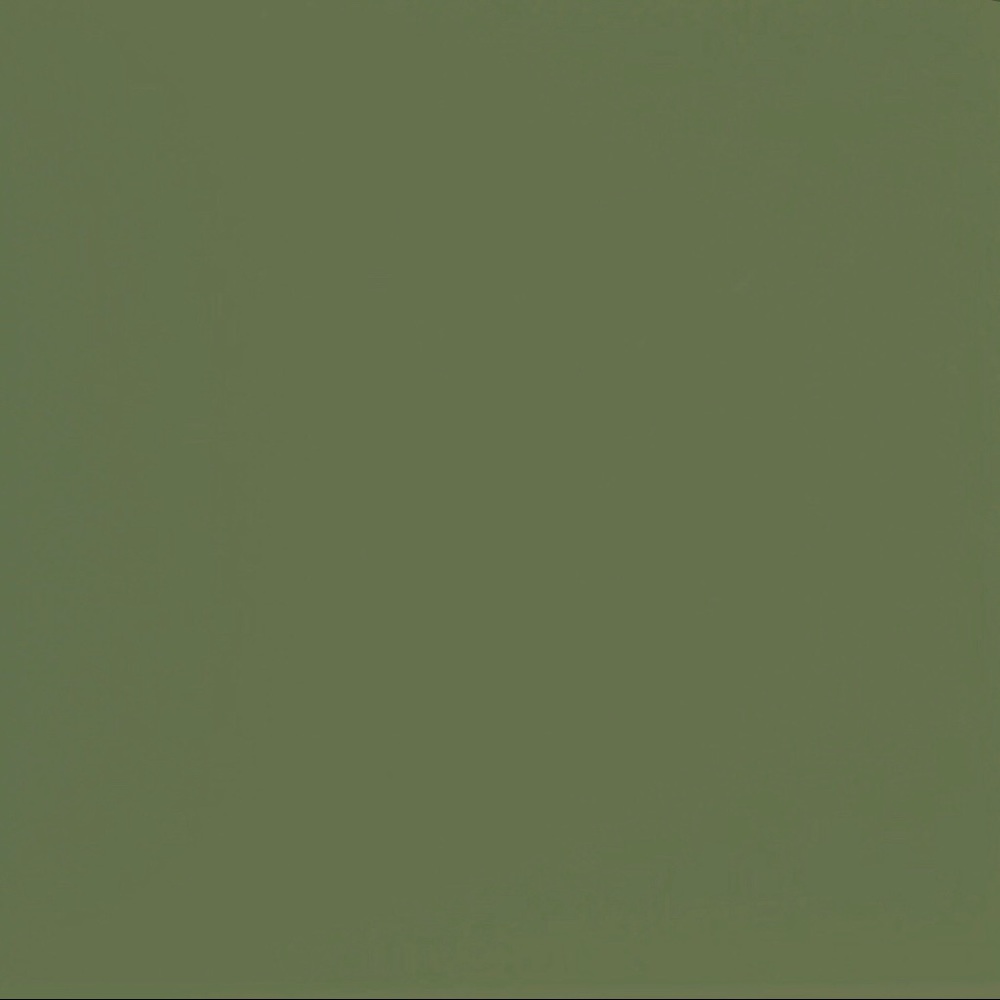 Noisy May Olive Green Ruched Long Sleeve - Picture 7 of 7
